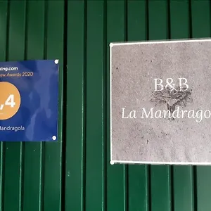 La Mandragola Berra