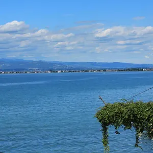 https://da-enzo.it-lombardy.com